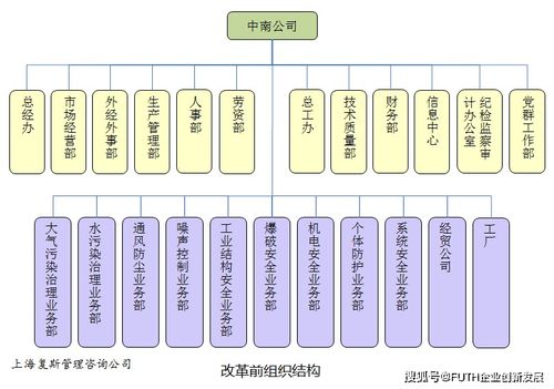 子公司長不大，總部又成了空殼子 某高科技企業(yè)技術(shù)服務(wù)型子公司的管理困境